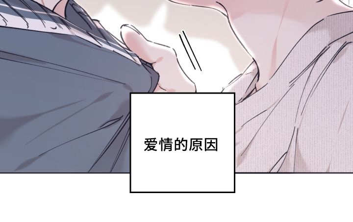第31章：爱情的原因19