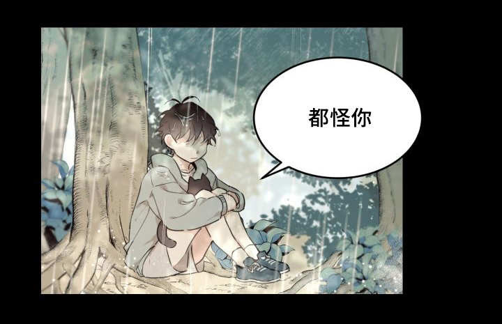 第27章：新的猫咪0