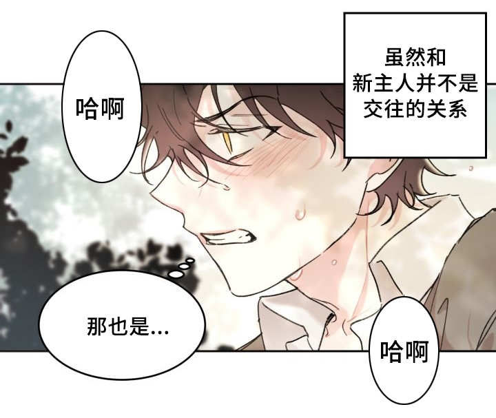 第34章：搞错了什么4