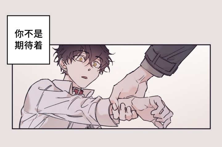 第31章：爱情的原因4