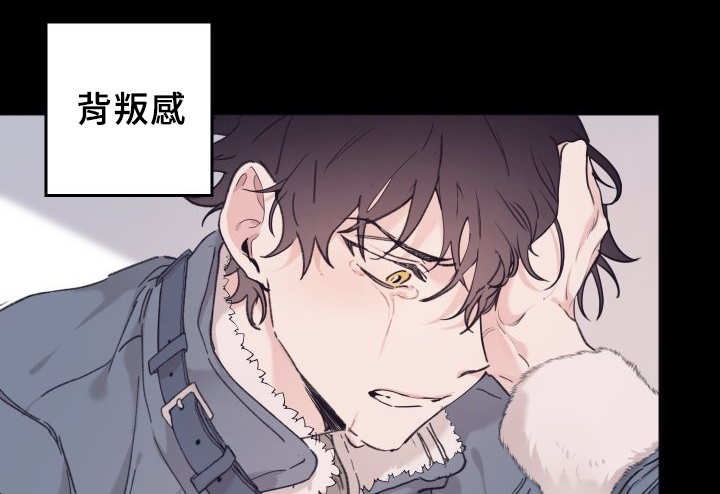 第33章：我来爱你13