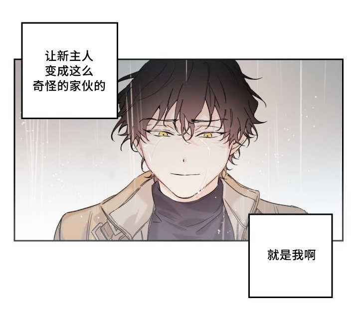 第49章：没来找我29
