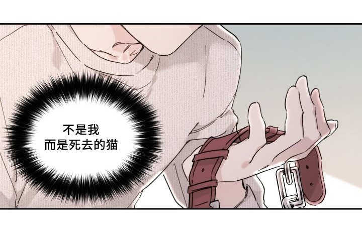 第30章：我能走了吗11