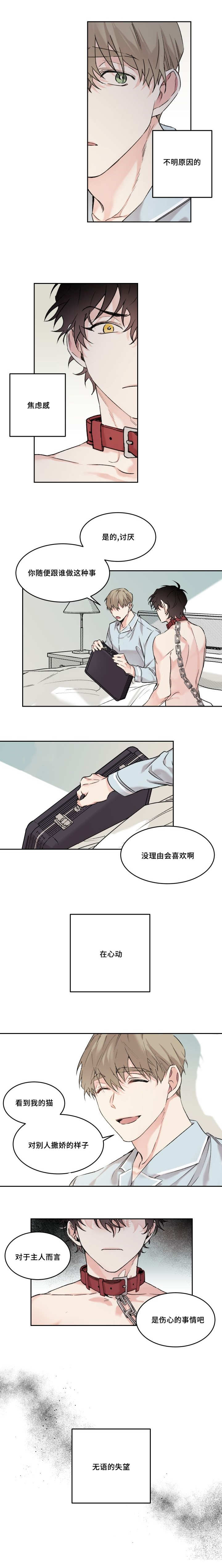 第15章：不记得我0