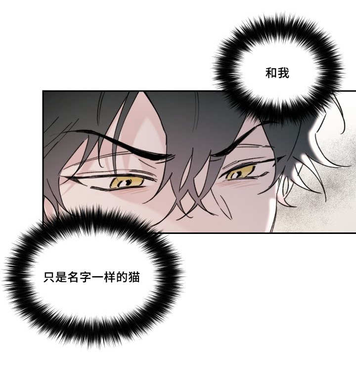 第30章：我能走了吗12