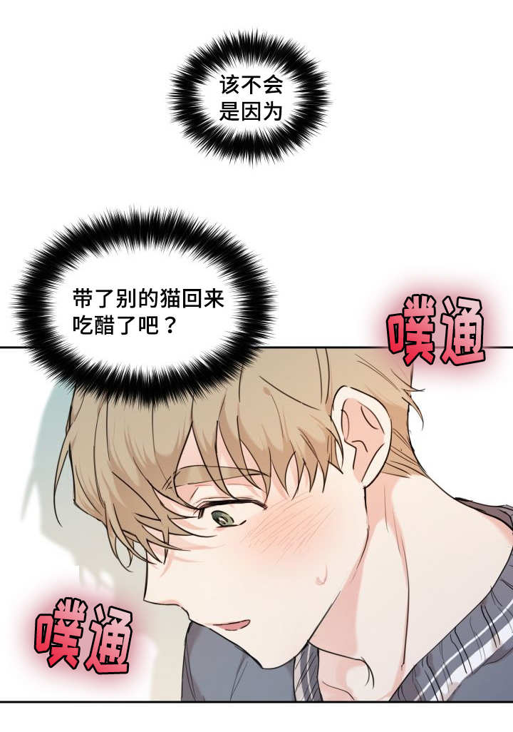 第27章：新的猫咪30