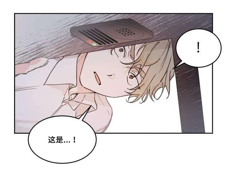 第48章：想要见他19