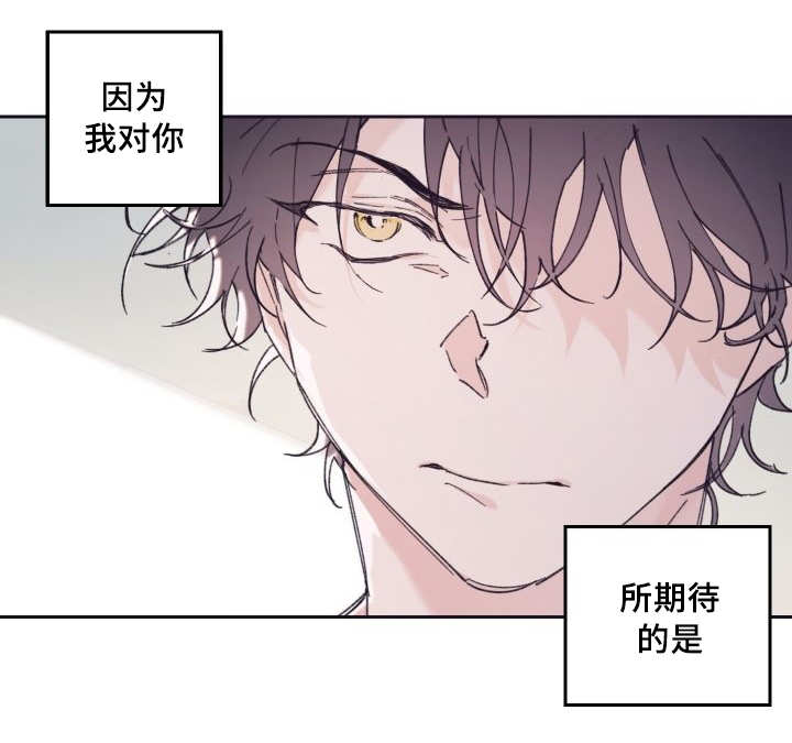 第31章：爱情的原因16