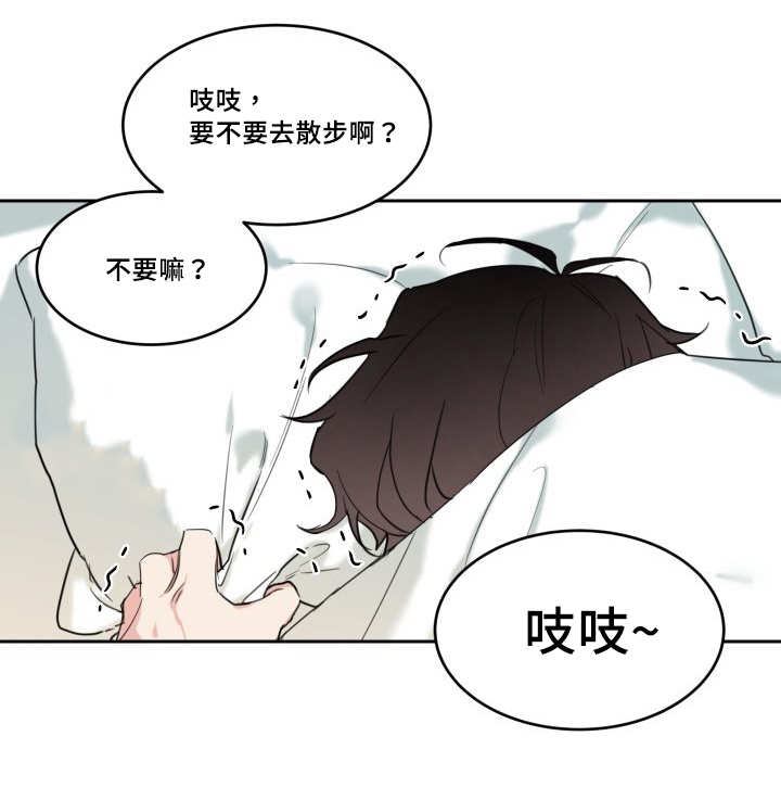 第28章：生气了吗6