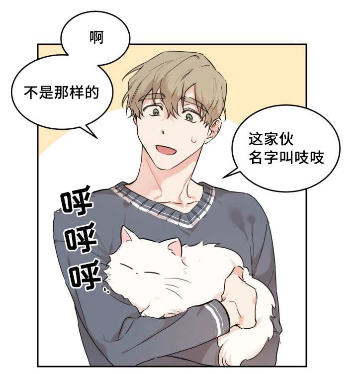 第27章：新的猫咪12