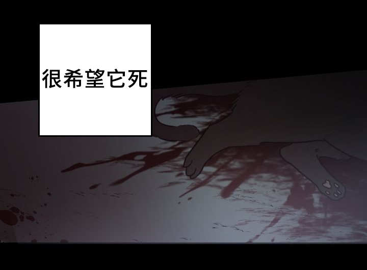 第46章：只是羡慕15