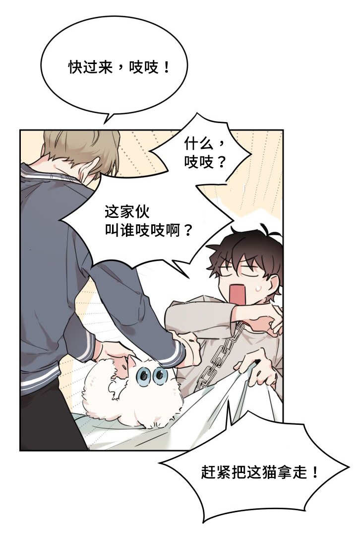 第27章：新的猫咪11