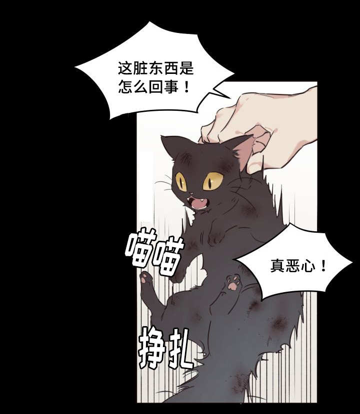 第26章：不然就杀了20