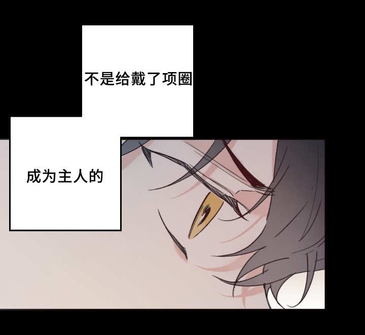 第34章：搞错了什么31