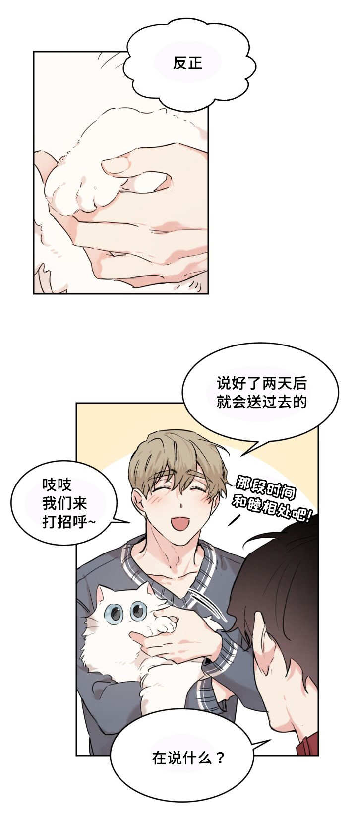 第27章：新的猫咪20