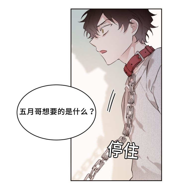 第29章：完全吃醋了2