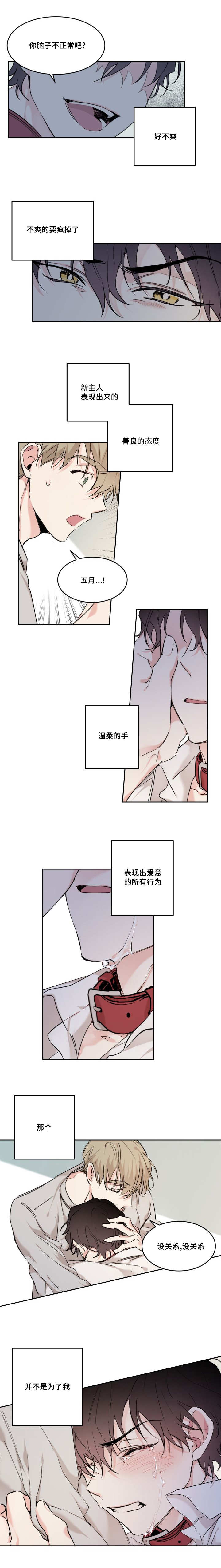 第20章：我就是五月2