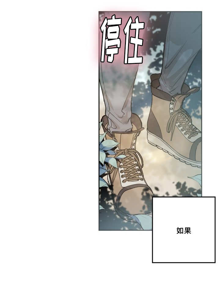 第50章：大结局14