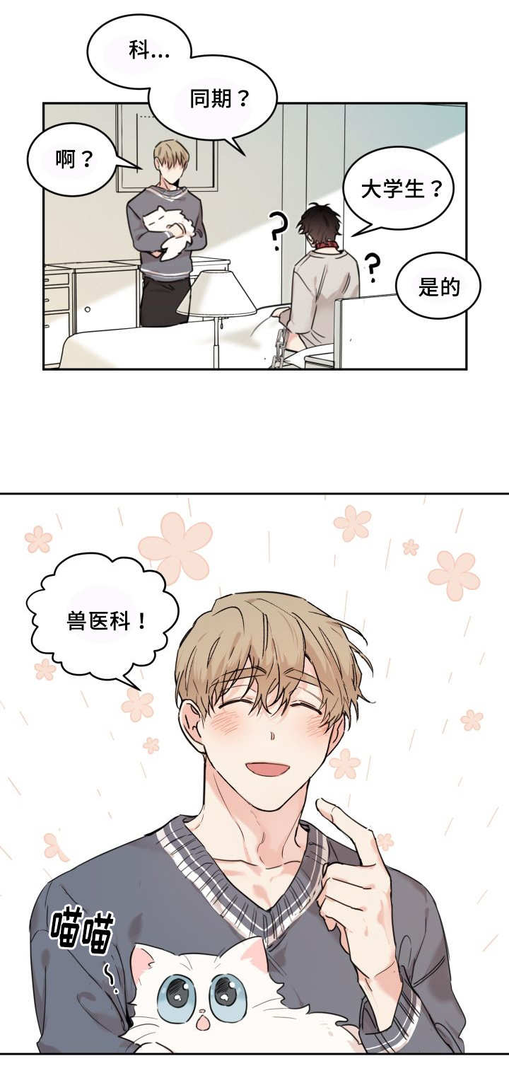 第27章：新的猫咪17