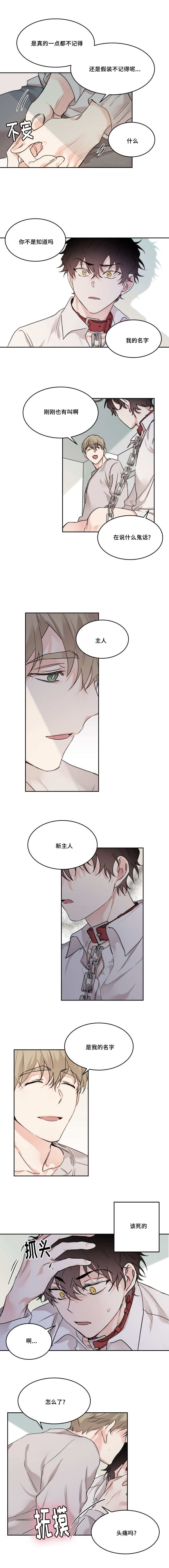 第18章：想起来了1