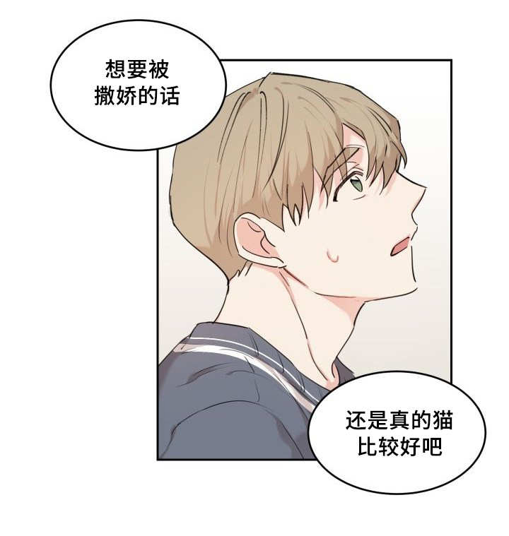 第30章：我能走了吗29