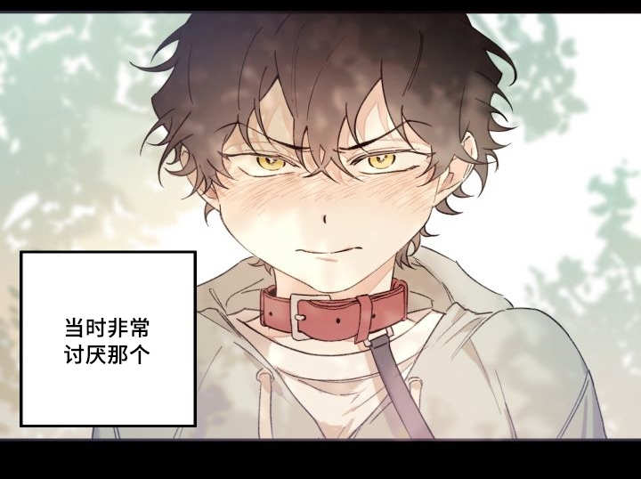 第47章：到底是谁11