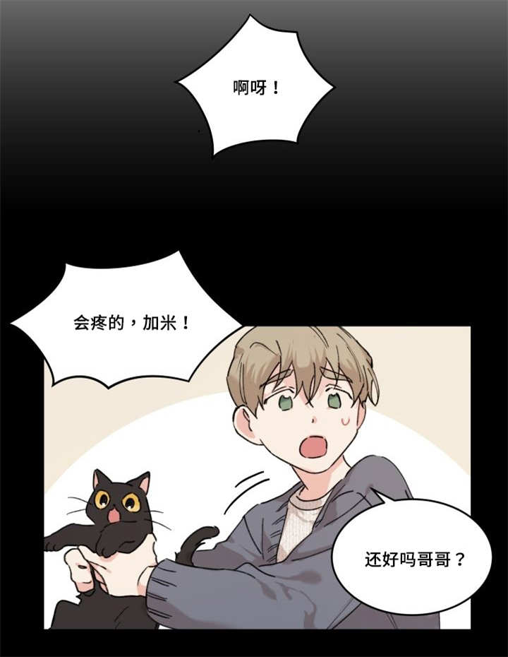第30章：我能走了吗13