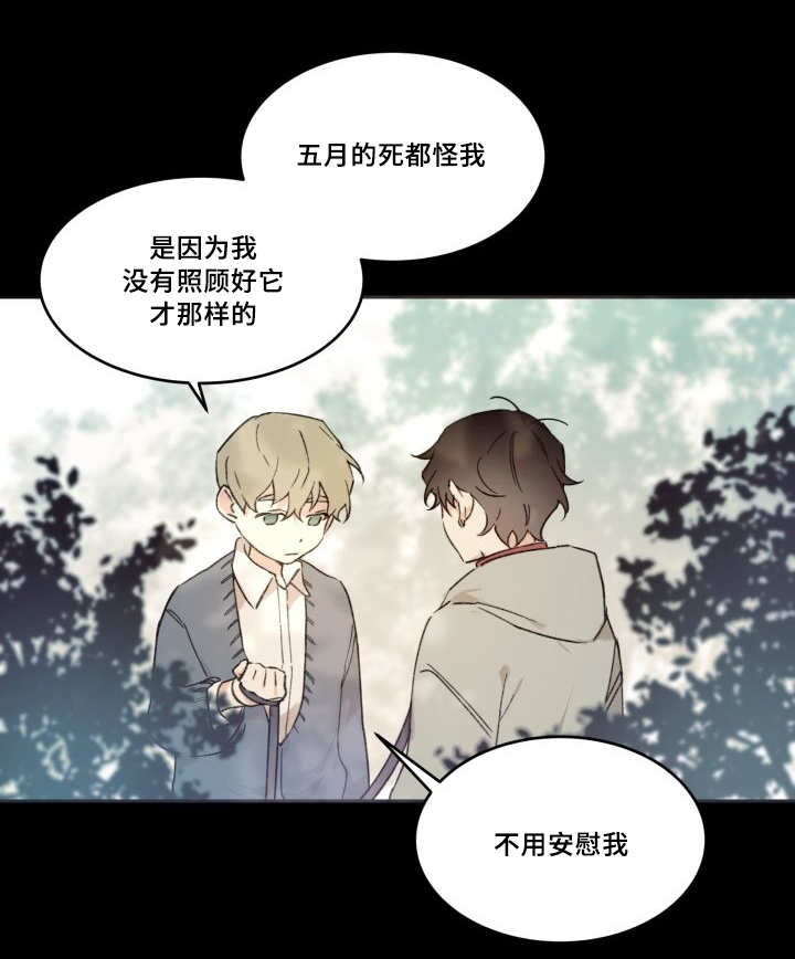 第47章：到底是谁8