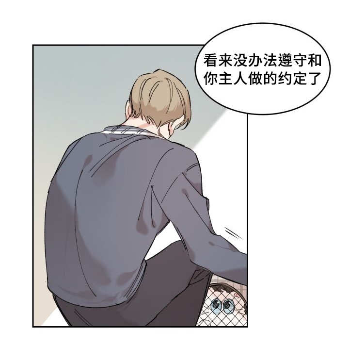 第29章：完全吃醋了26