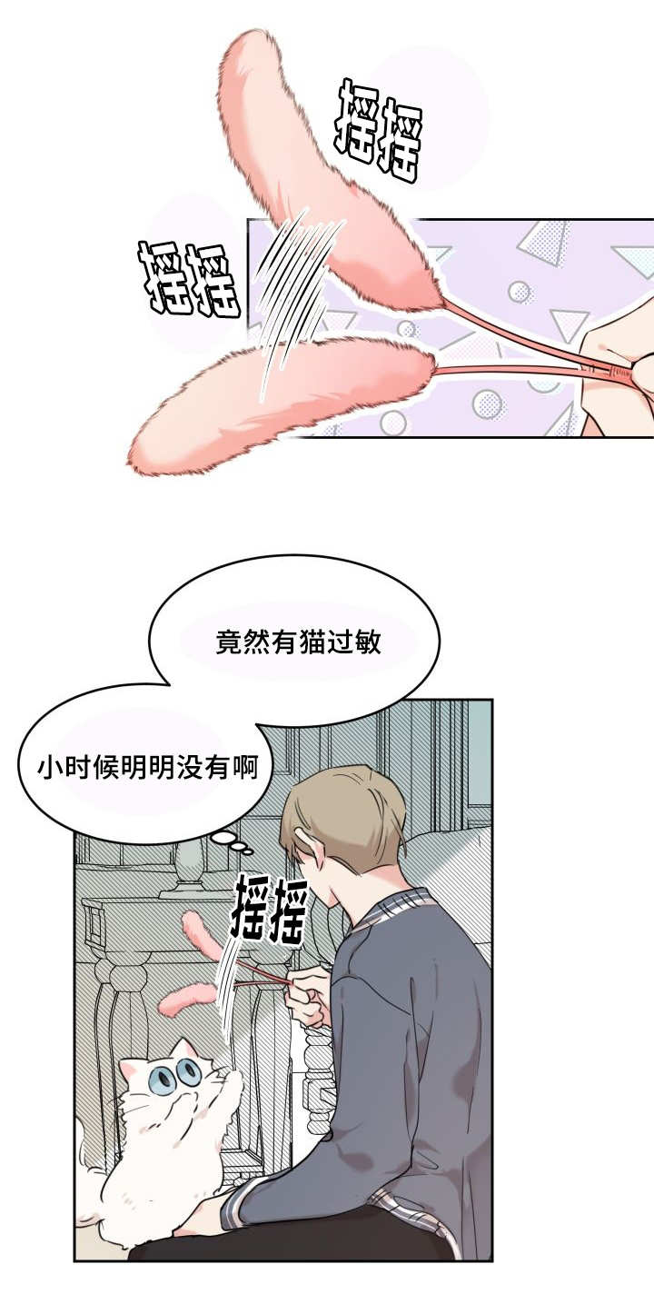 第27章：新的猫咪26