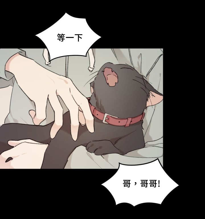 第34章：搞错了什么26