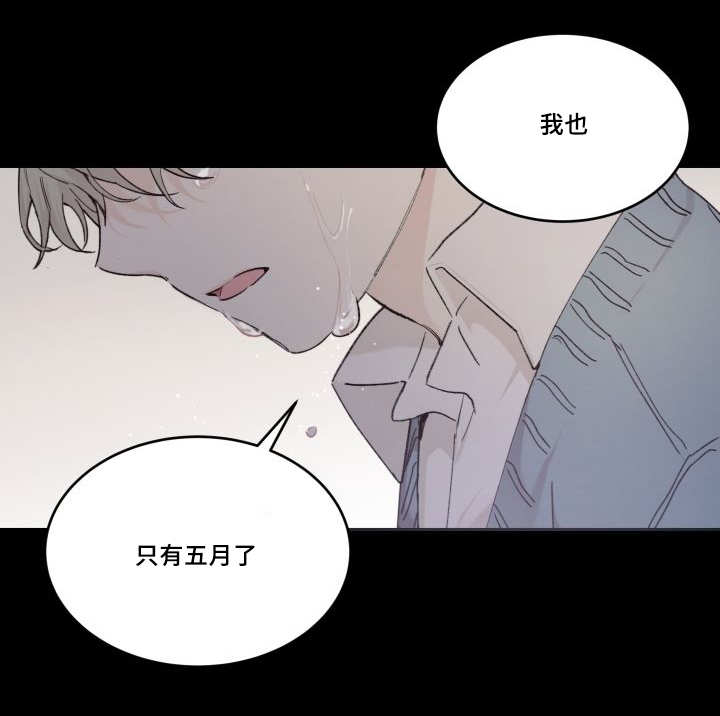 第45章：你的爱人29