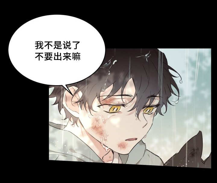 第27章：新的猫咪1