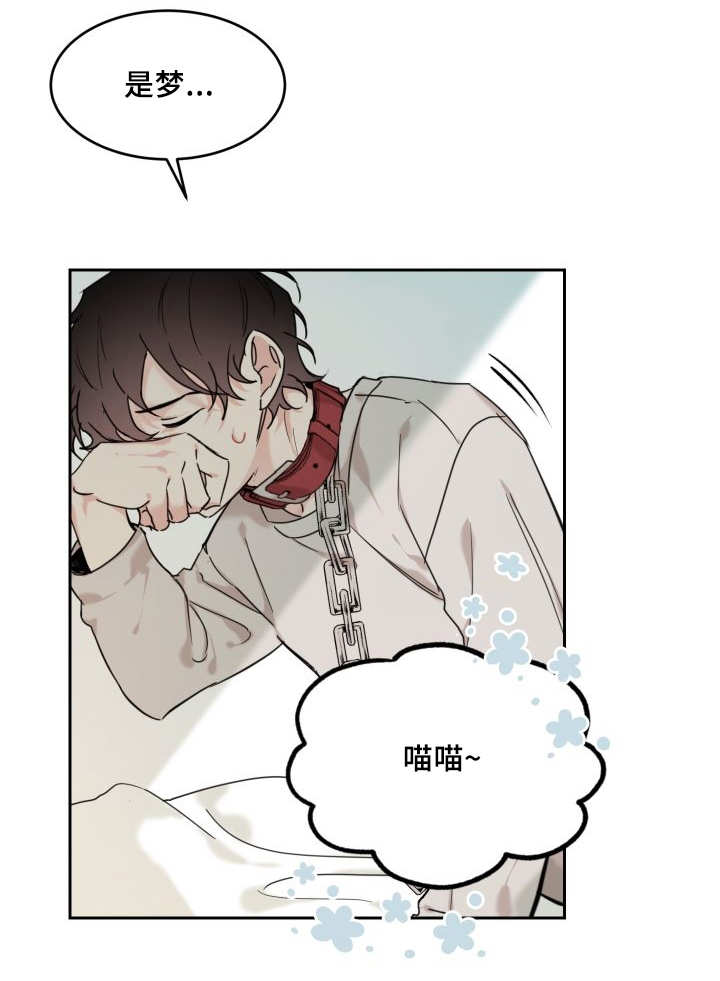 第27章：新的猫咪8