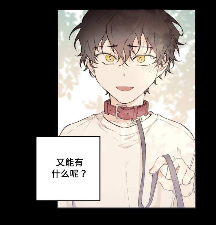 第46章：只是羡慕25