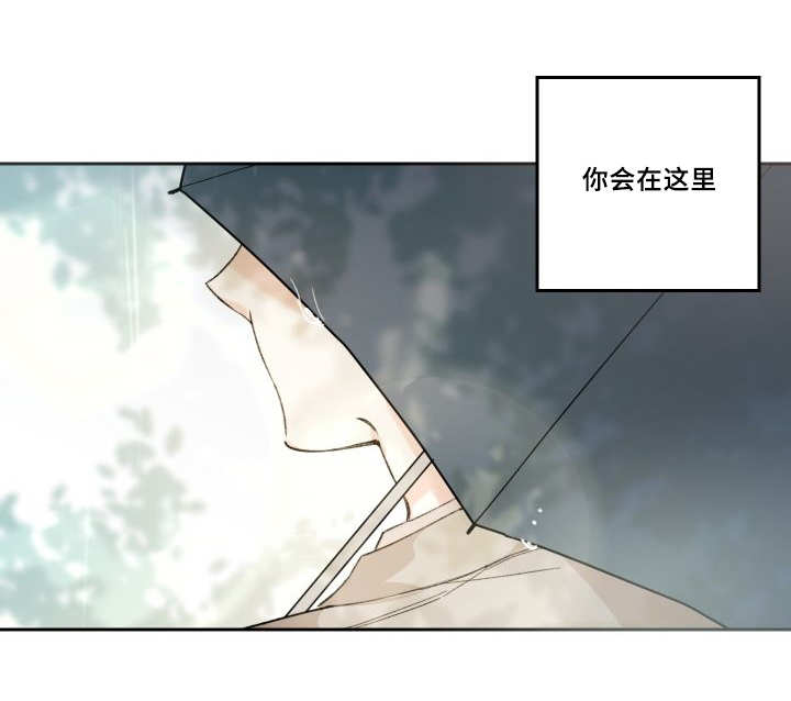 第50章：大结局11