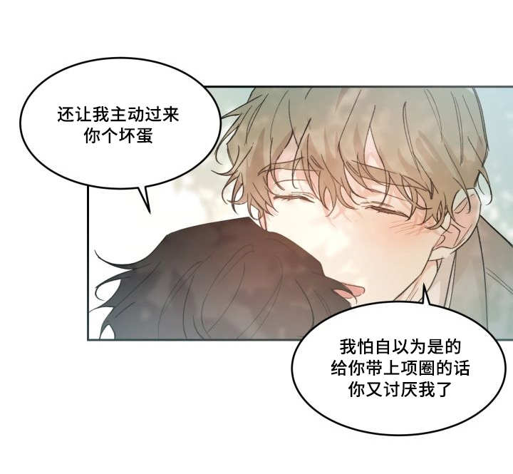 第50章：大结局22