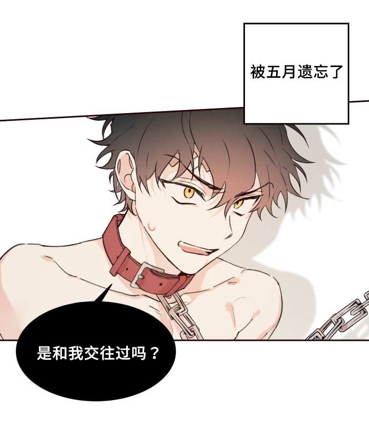 第34章：搞错了什么19