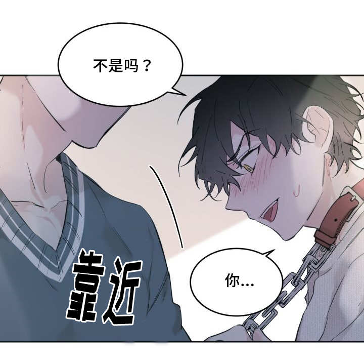 第29章：完全吃醋了10