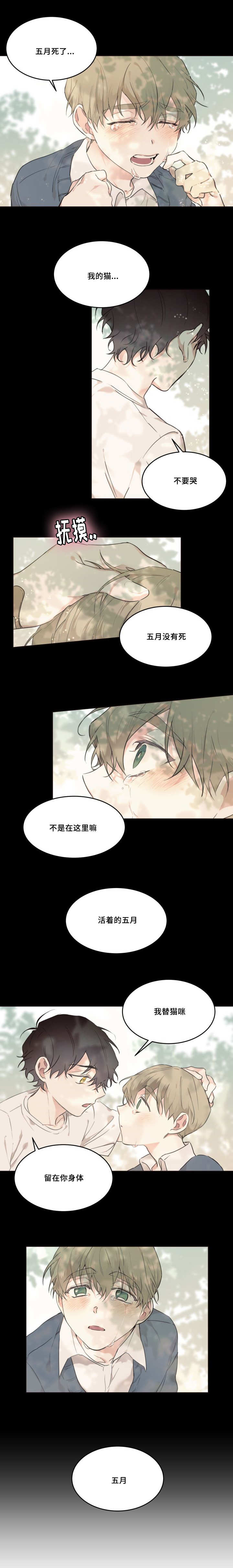 第23章：我很开心3