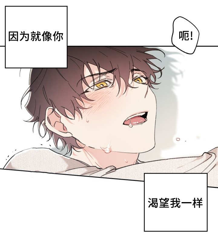 第33章：我来爱你29