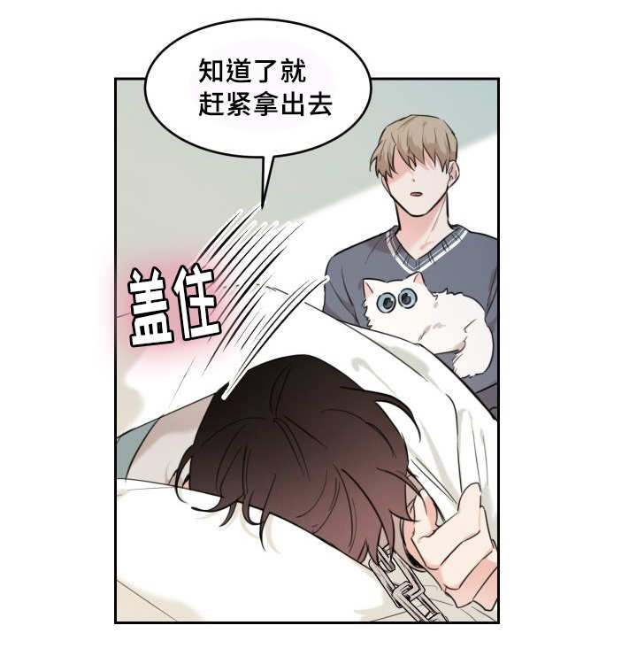 第27章：新的猫咪24