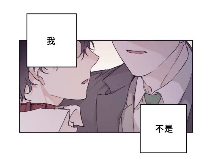 第31章：爱情的原因6