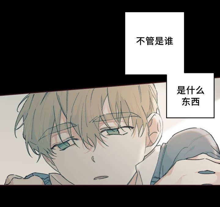 第31章：爱情的原因12