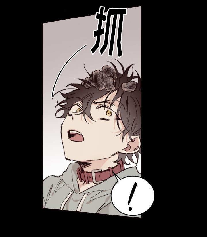 第35章：被谁抢走了18