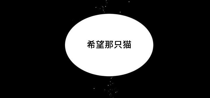 第46章：只是羡慕6