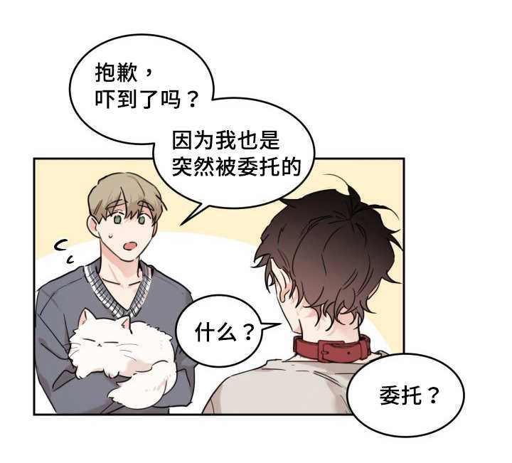 第27章：新的猫咪14