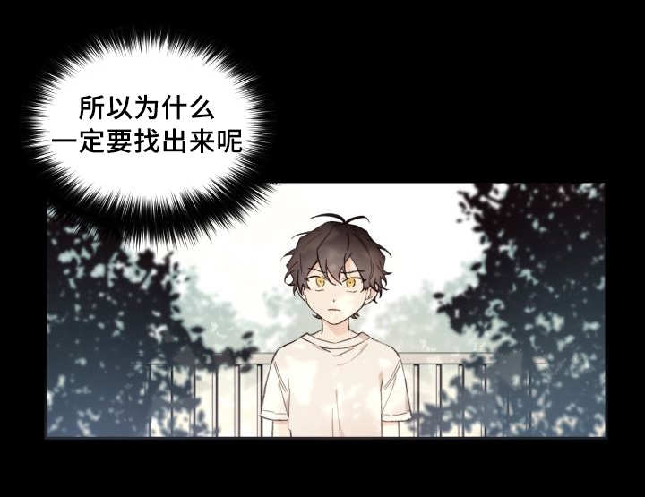 第46章：只是羡慕18