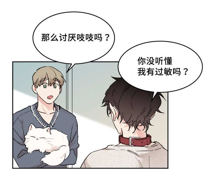 第28章：生气了吗15