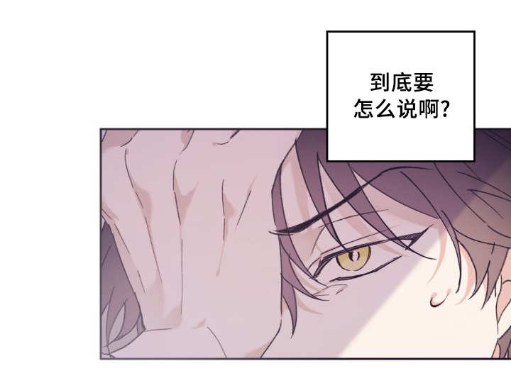 第38章：喜欢你啊17